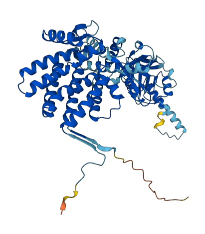 CCT7 3D structure