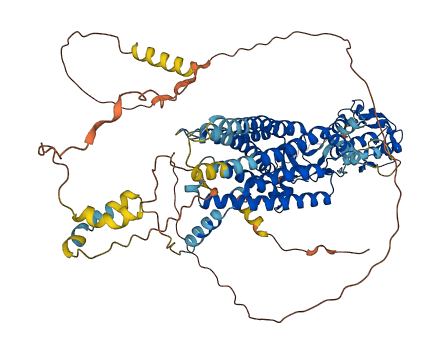 SMO 3D structure