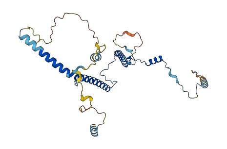 EBNA1BP2 3D structure