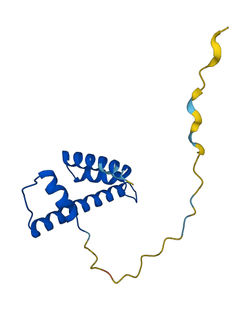 H2BC14 3D structure
