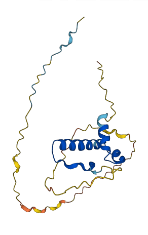 SSX3 3D structure