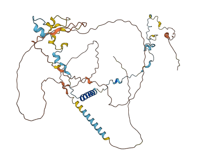 SPAG8 3D structure