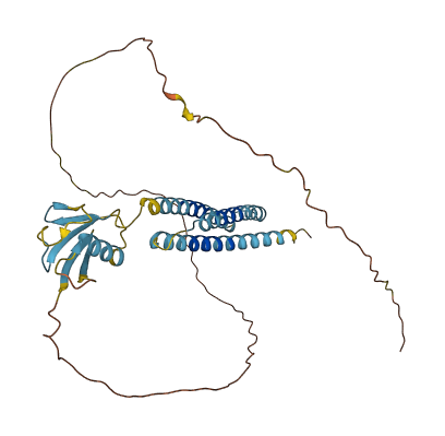BAG1 3D structure