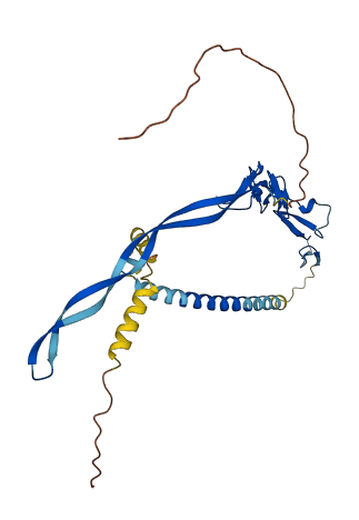 EGFL8 3D structure