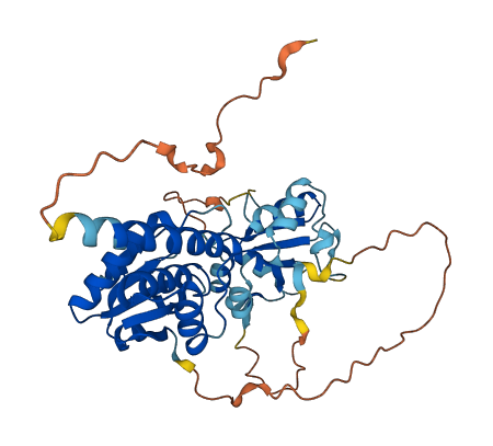 DUSP9 3D structure