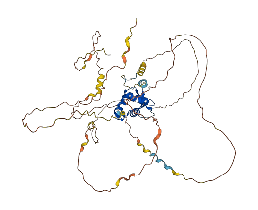 FOXC2 3D structure