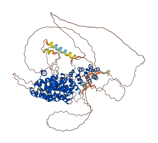 PKP2 3D structure