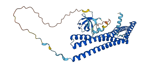 SH3GL1 3D structure