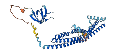 SH3GL2 3D structure