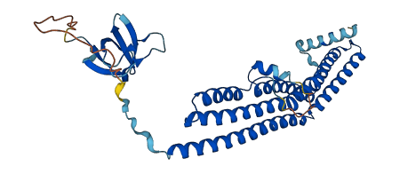 SH3GL3 3D structure