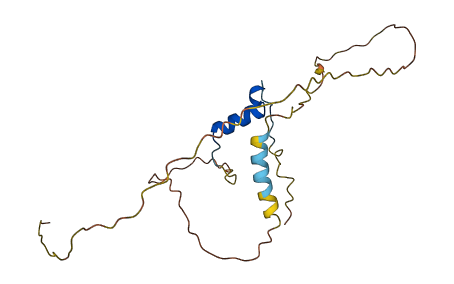 CITED1 3D structure