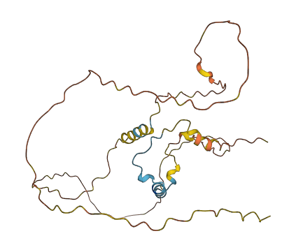 CITED2 3D structure