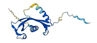 RARRES2 3D structure