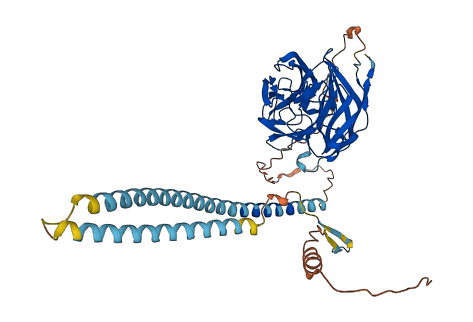 MYOC 3D structure