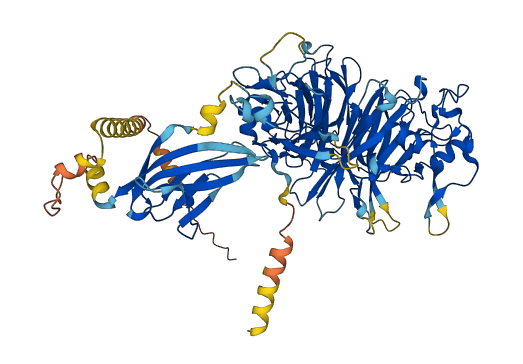 SEMA3C 3D structure