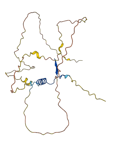 VGLL1 3D structure