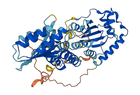 Apobec3 3D structure