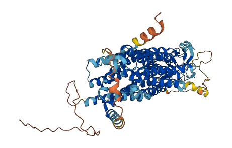 Slco1a6 3D structure