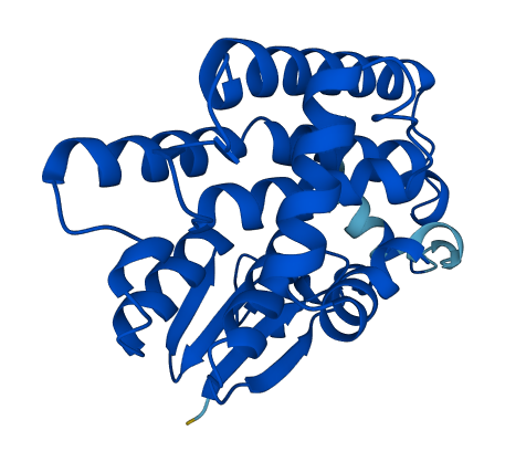 Gstt3 3D structure