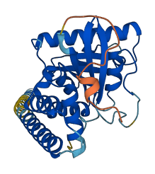 Gimap3 3D structure