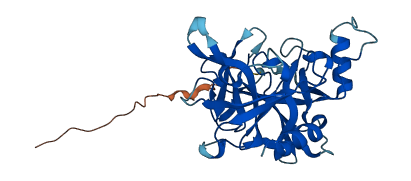 Prss29 3D structure