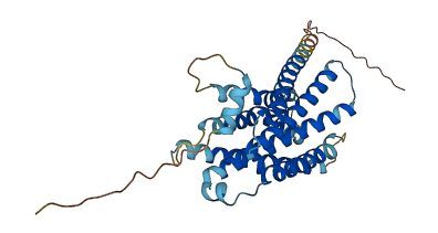 Mrgprh 3D structure