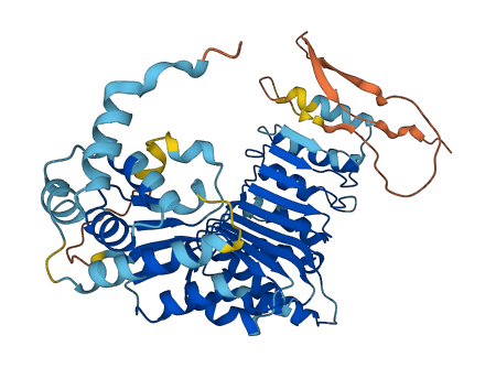 Pramel1 3D structure