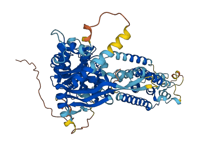 Abcg3 3D structure