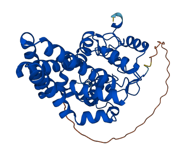 Scd3 3D structure