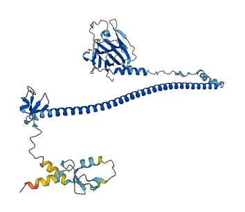 Trim34a 3D structure