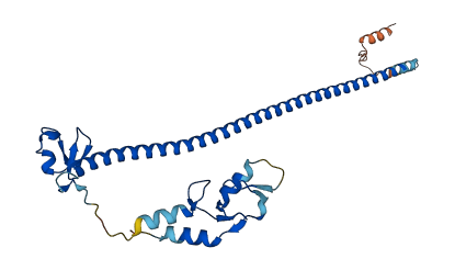 Trim12a 3D structure