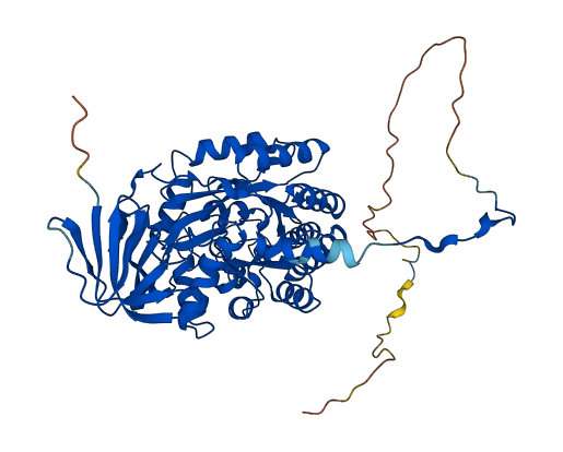 DPYSL5 3D structure