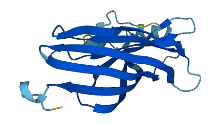 B9D2 3D structure