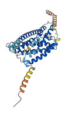 P2RY13 3D structure