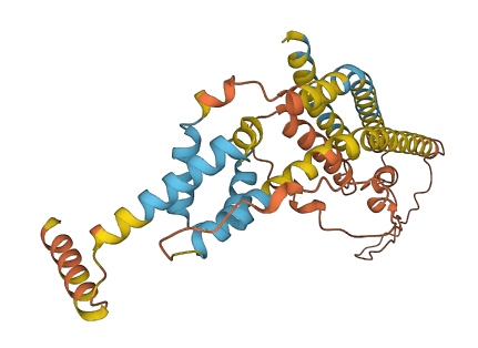 APOL4 3D structure
