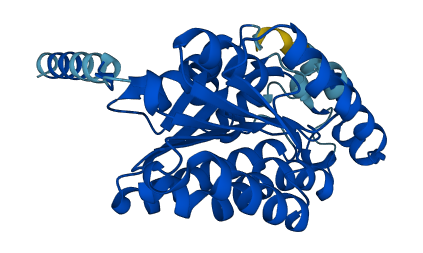 DHRS9 3D structure
