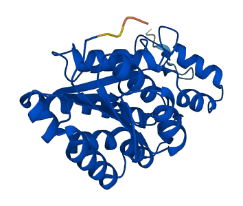 HSD17B14 3D structure