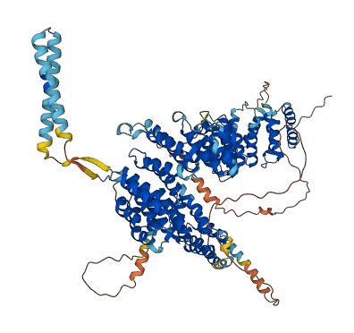 NCAPG 3D structure