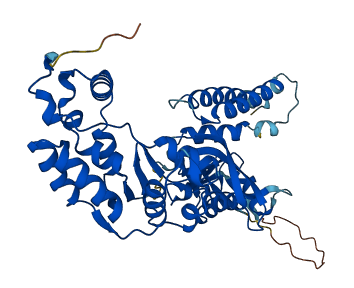C7orf25 3D structure