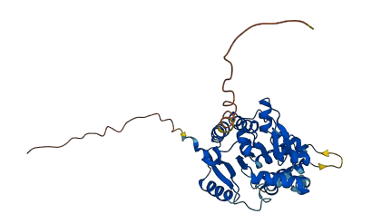 FAM118B 3D structure