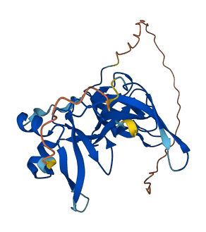 SPIN2B 3D structure