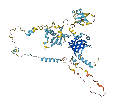 MAPKAP1 3D structure