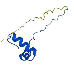 MRPL34 3D structure