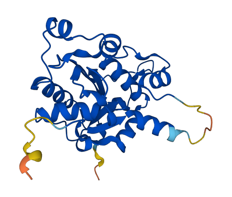 TREX2 3D structure
