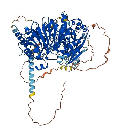 ELAC2 3D structure