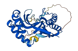 USB1 3D structure