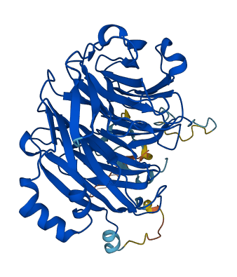 GRWD1 3D structure
