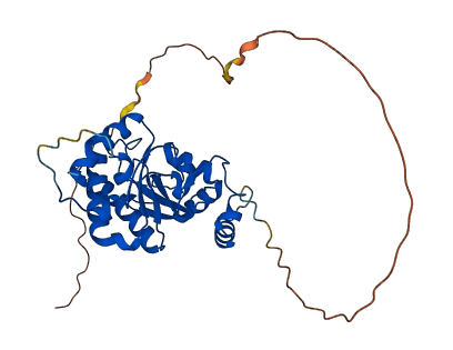 MACROD1 3D structure