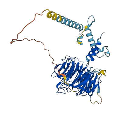 TBL1Y 3D structure