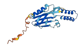 CYBC1 3D structure